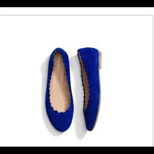 Tahari Winny Cobalt Suede Scalloped Flats - Size 9M